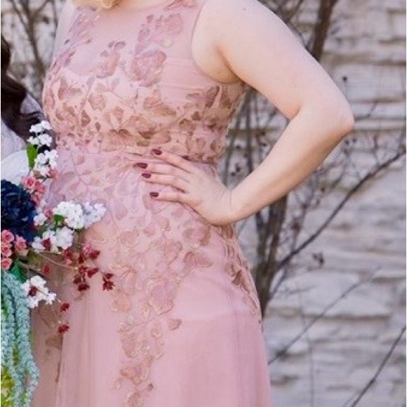 BCBGMAXAZRIA, Eugene Butterfly-Embroidered Dress, Blush Pink Cocktail Dress. - Picture 4 of 5